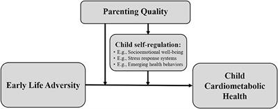 Targeting Parenting Quality to Reduce Early Life Adversity Impacts on Lifespan Cardiometabolic Risk